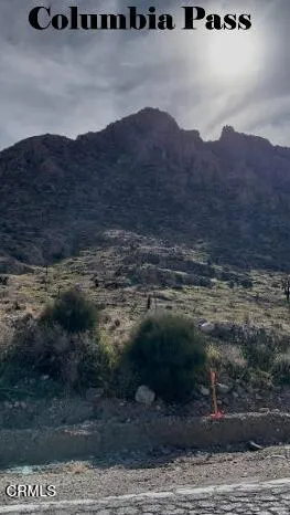 91525 Palm Road Baker, CA 92309