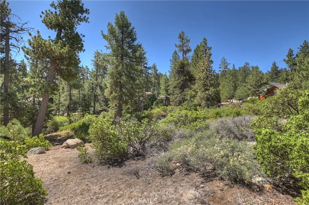 38602 Talbot Big Bear Lake, CA 92315