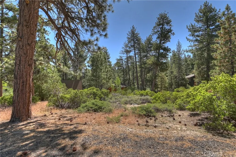 38602 Talbot Big Bear Lake, CA 92315