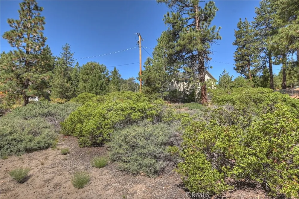 38602 Talbot Big Bear Lake, CA 92315