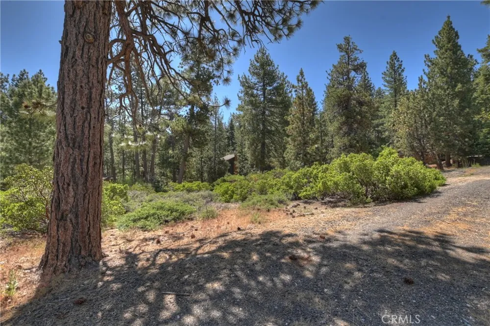 38602 Talbot Big Bear Lake, CA 92315
