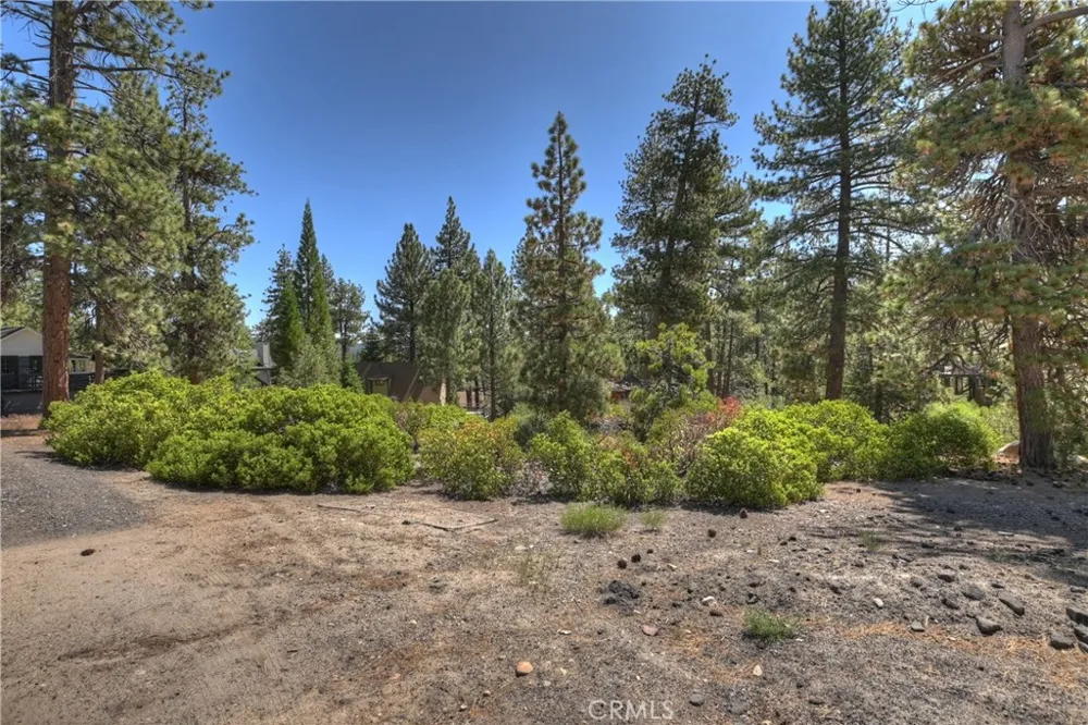 38602 Talbot Big Bear Lake, CA 92315