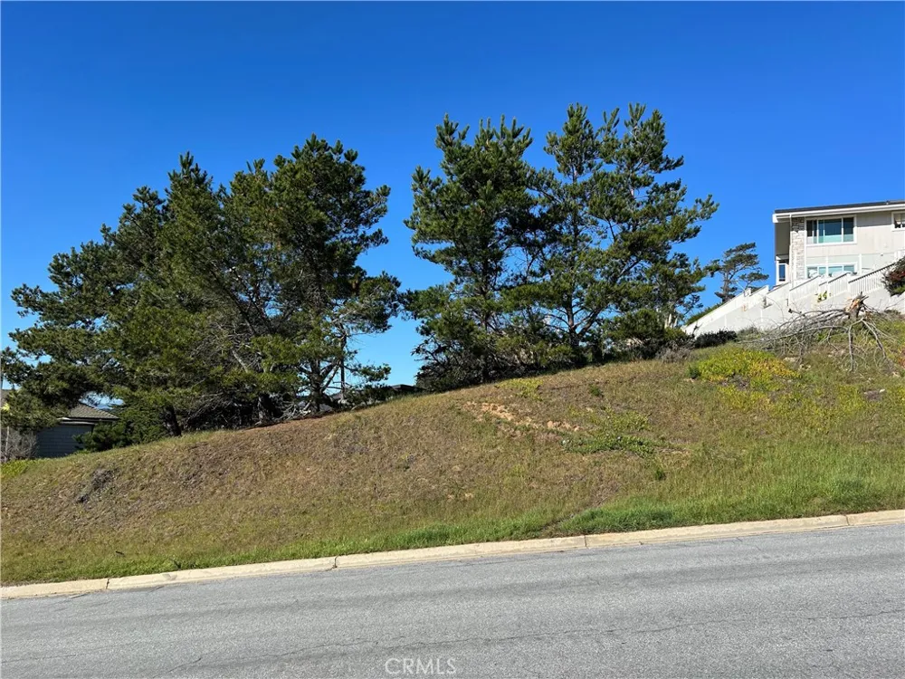 Chelsea Lane Cambria, CA 93428