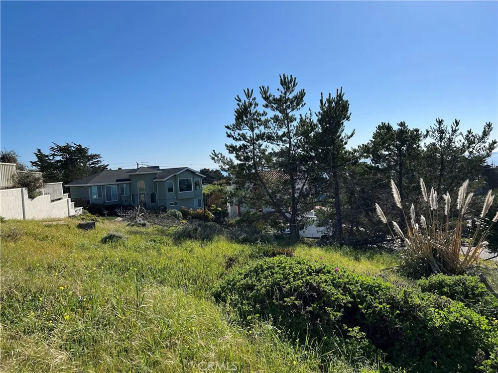 Chelsea Lane Cambria, CA 93428