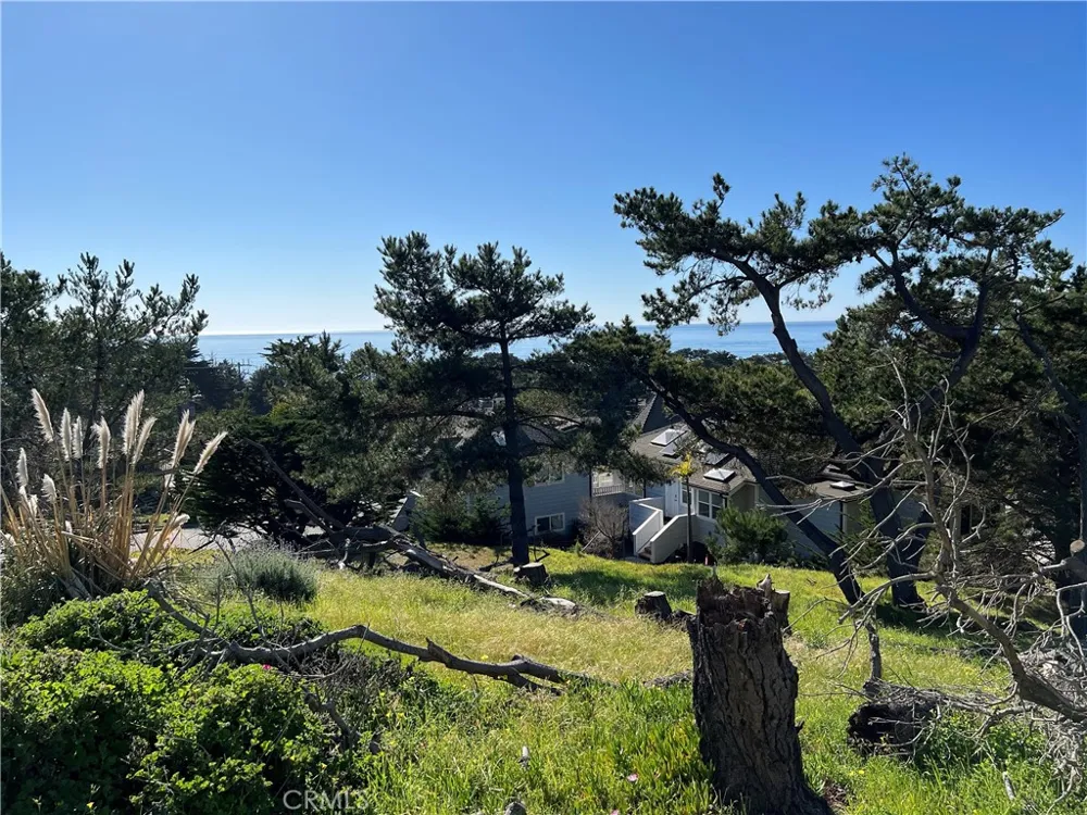 Chelsea Lane Cambria, CA 93428