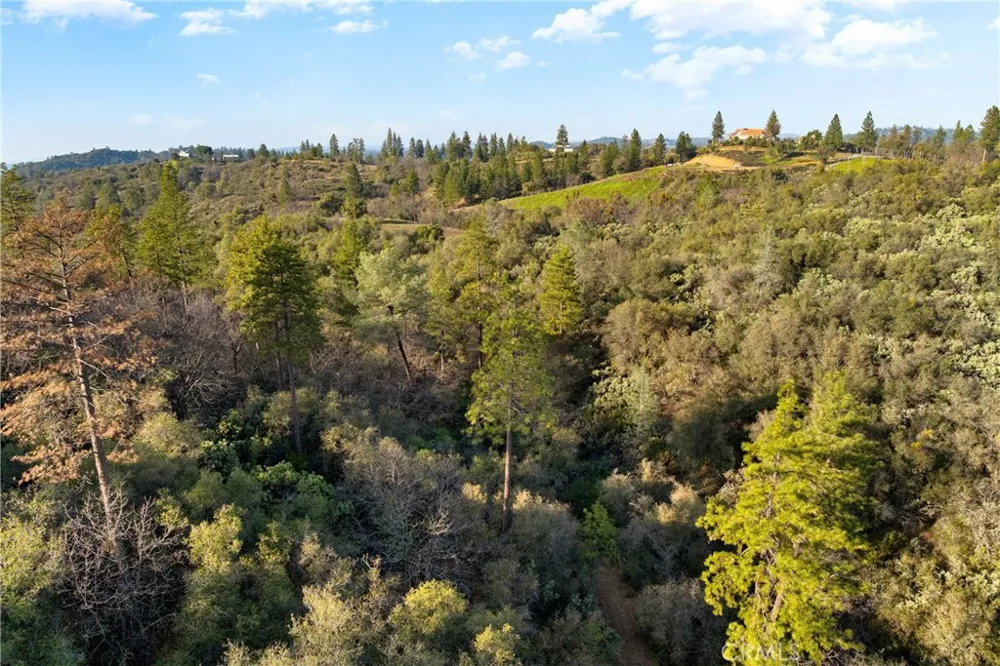 1 Ridgeview Circle Sutter Creek, CA 95685