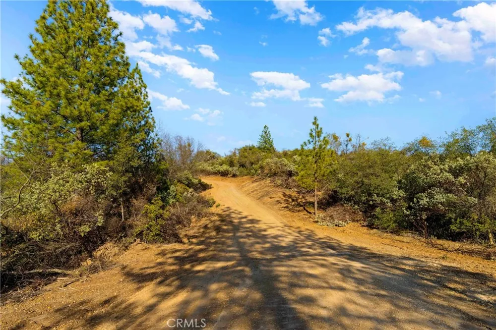 1 Ridgeview Circle Sutter Creek, CA 95685