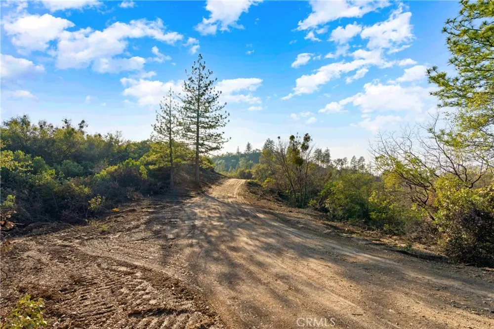 1 Ridgeview Circle Sutter Creek, CA 95685