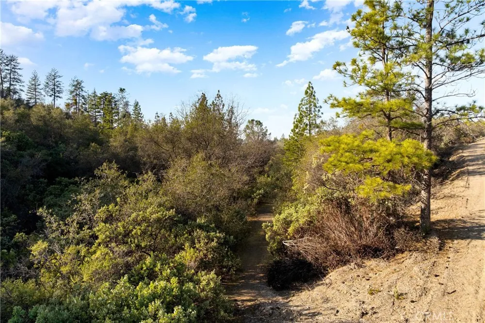 1 Ridgeview Circle Sutter Creek, CA 95685