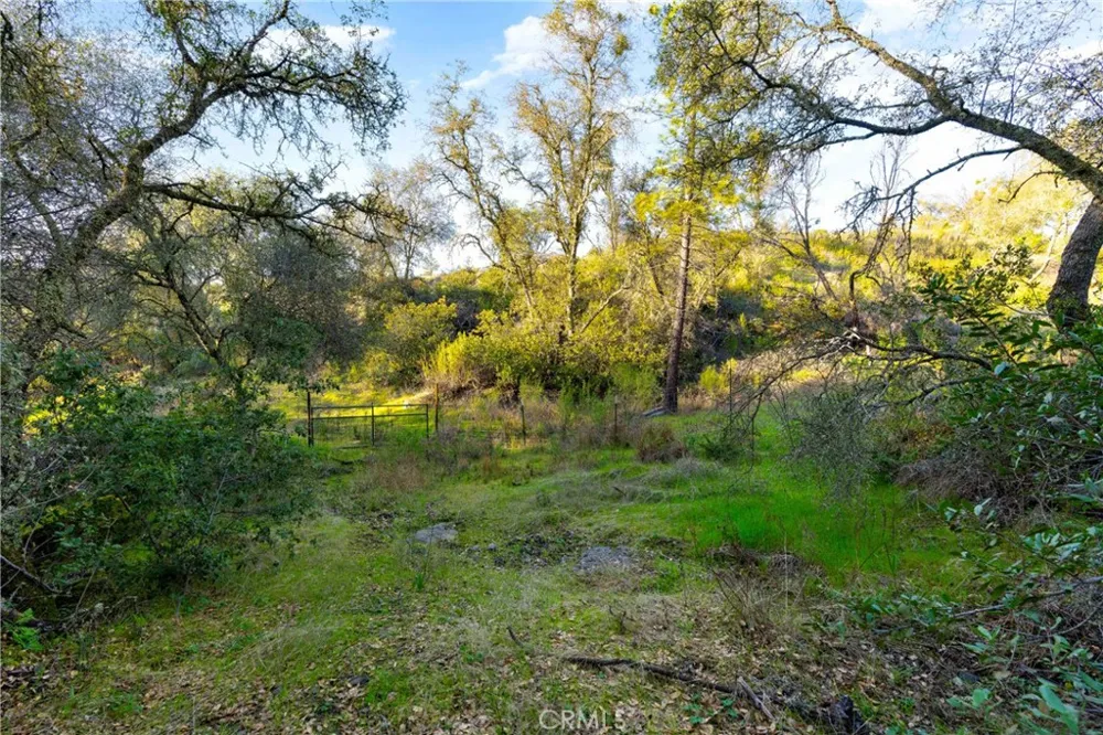 1 Ridgeview Circle Sutter Creek, CA 95685