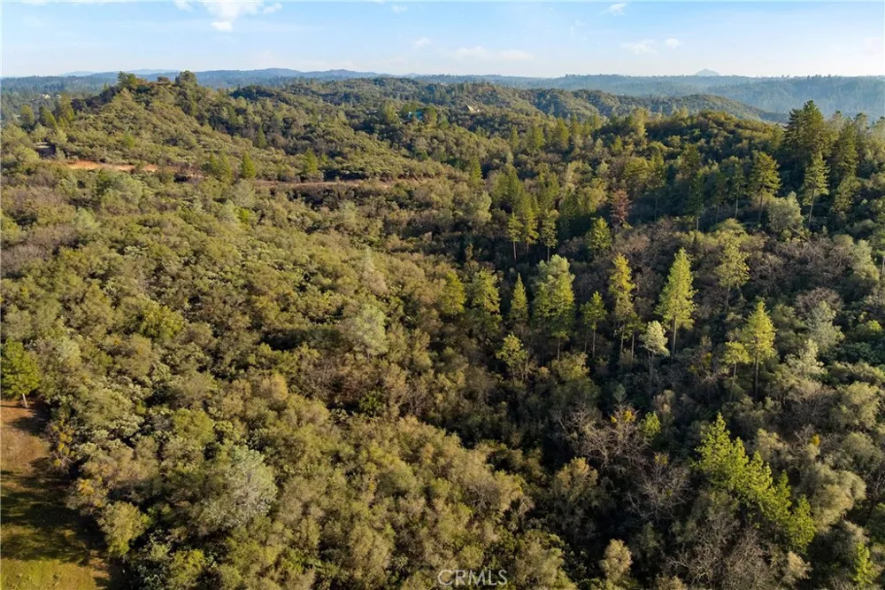 1 Ridgeview Circle Sutter Creek, CA 95685