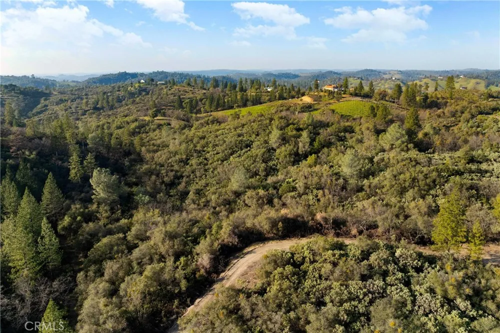 1 Ridgeview Circle Sutter Creek, CA 95685