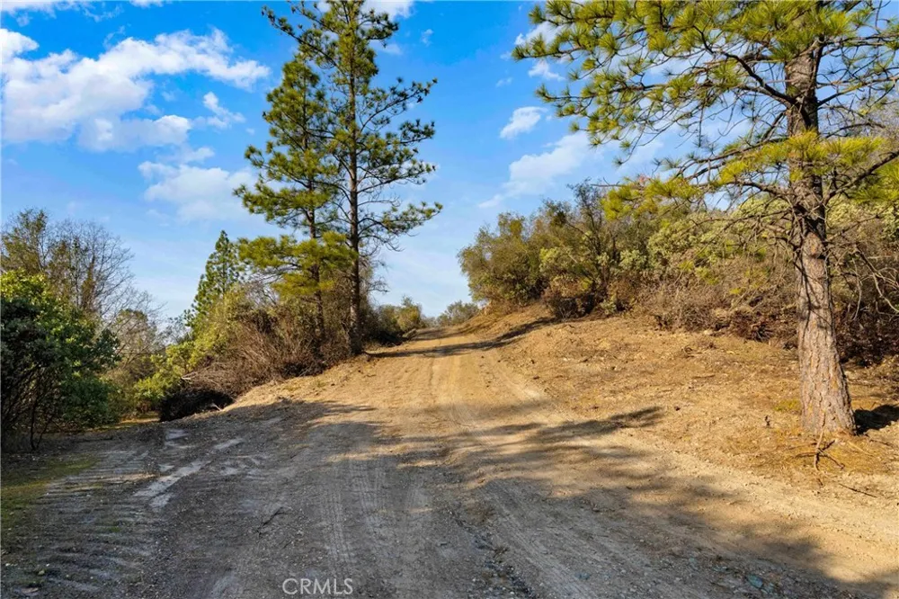 1 Ridgeview Circle Sutter Creek, CA 95685