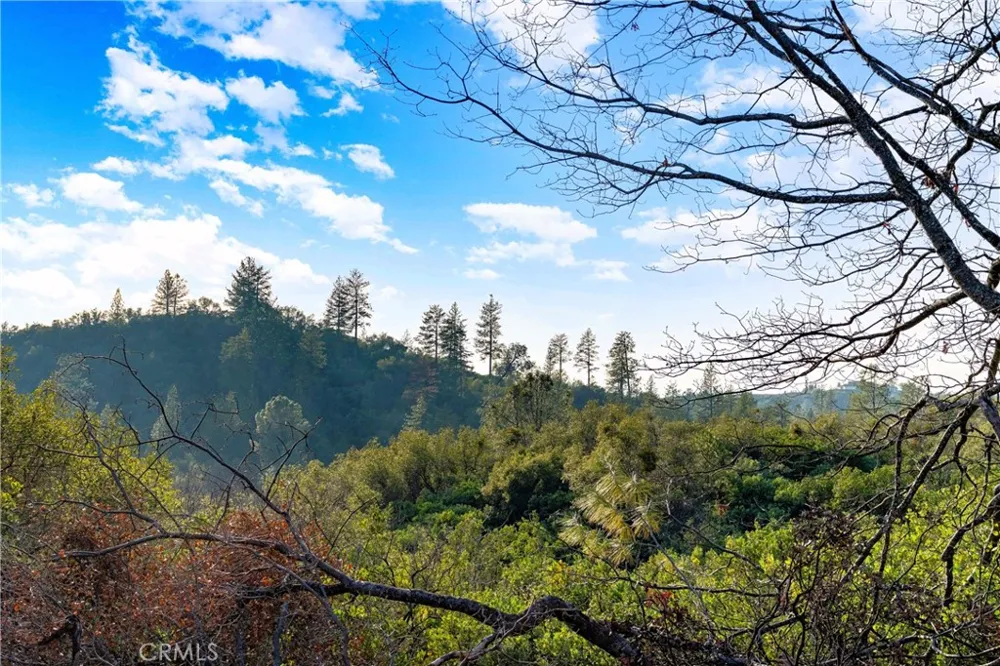 1 Ridgeview Circle Sutter Creek, CA 95685