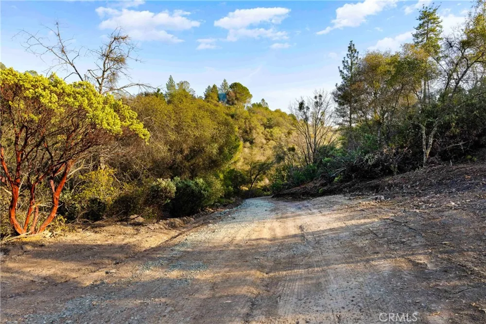 1 Ridgeview Circle Sutter Creek, CA 95685