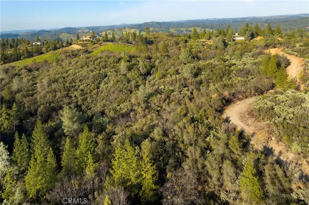 1 Ridgeview Circle Sutter Creek, CA 95685