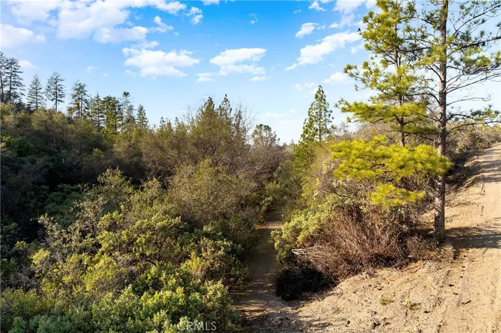 1 Ridgeview Circle Sutter Creek, CA 95685