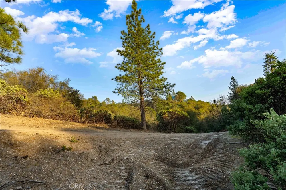 1 Ridgeview Circle Sutter Creek, CA 95685