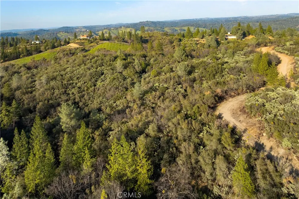 1 Ridgeview Circle Sutter Creek, CA 95685