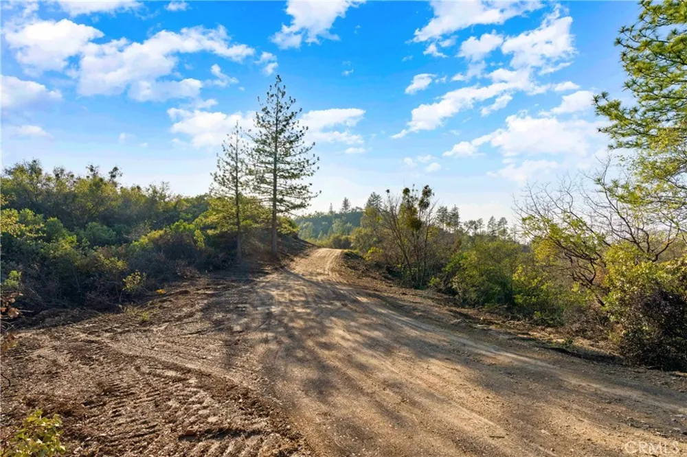 1 Ridgeview Circle Sutter Creek, CA 95685