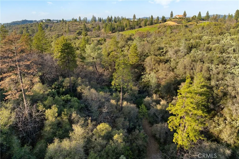 1 Ridgeview Circle Sutter Creek, CA 95685