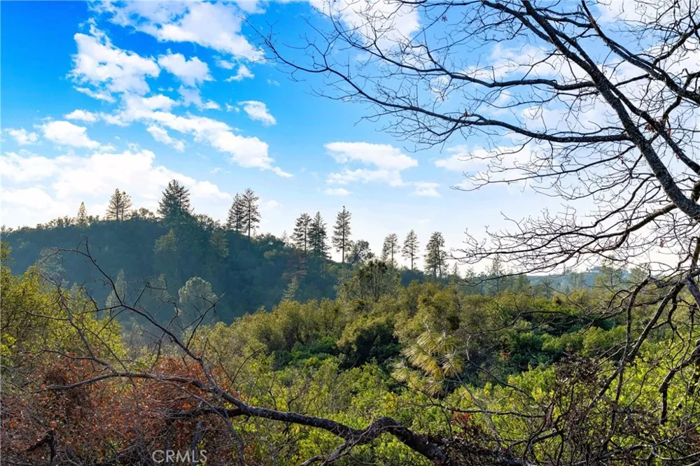 1 Ridgeview Circle Sutter Creek, CA 95685