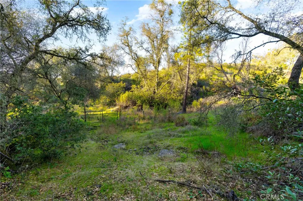 1 Ridgeview Circle Sutter Creek, CA 95685