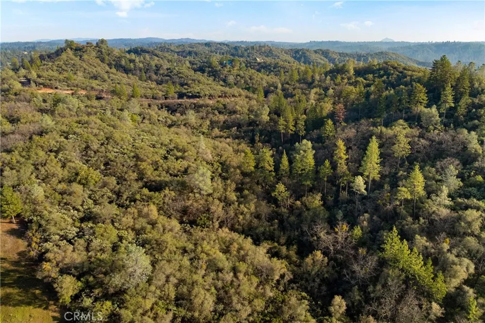 1 Ridgeview Circle Sutter Creek, CA 95685