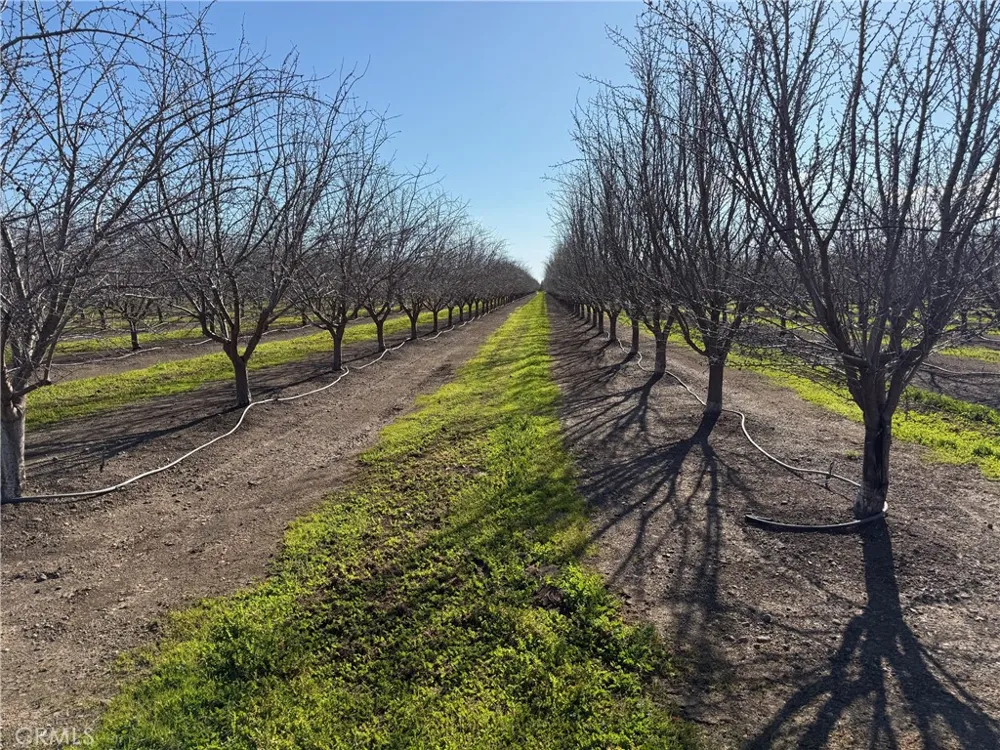 14693 Hamilton Nord Cana Highway Chico, CA 95973