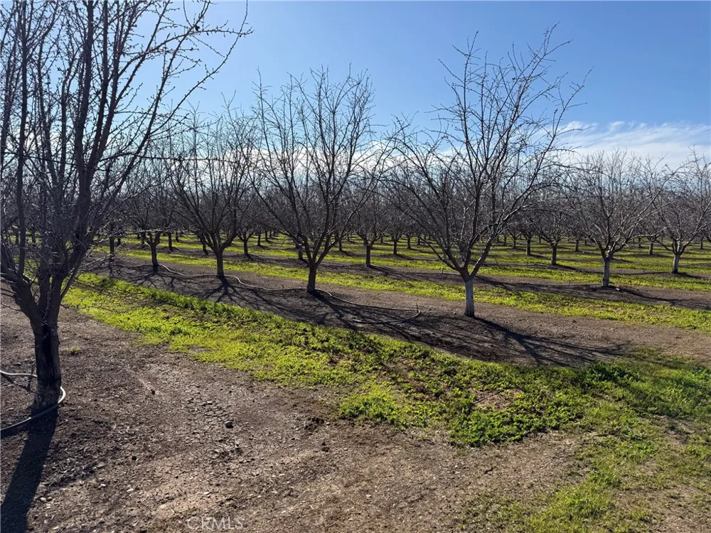 14693 Hamilton Nord Cana Highway Chico, CA 95973