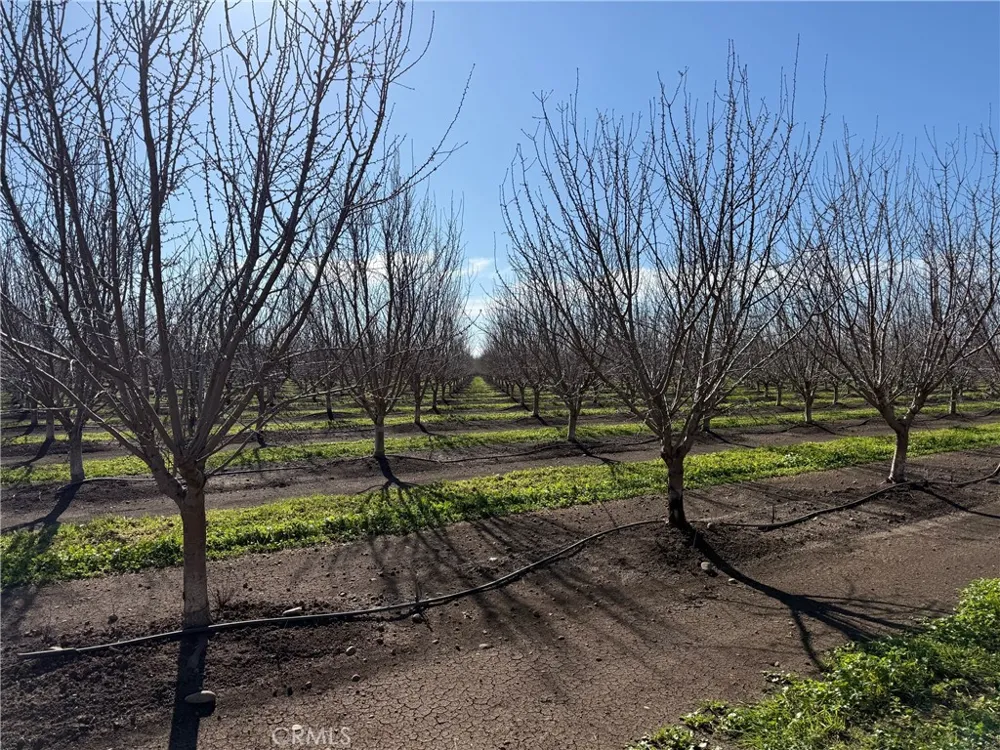 14693 Hamilton Nord Cana Highway Chico, CA 95973