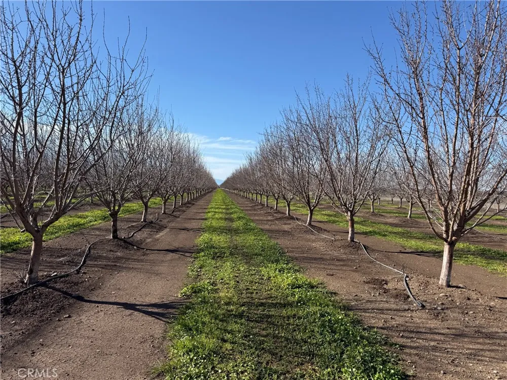 14693 Hamilton Nord Cana Highway Chico, CA 95973