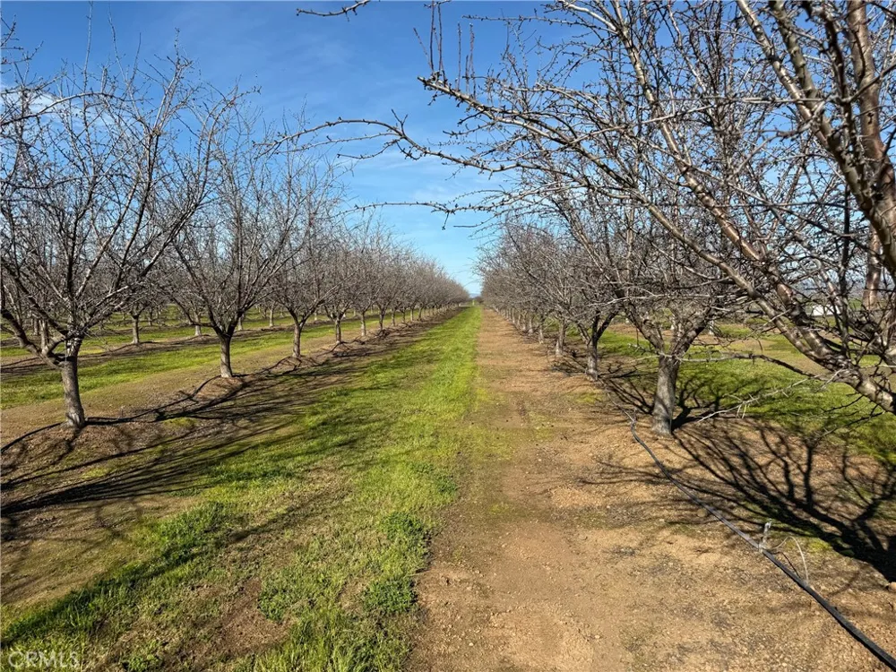14693 Hamilton Nord Cana Highway Chico, CA 95973