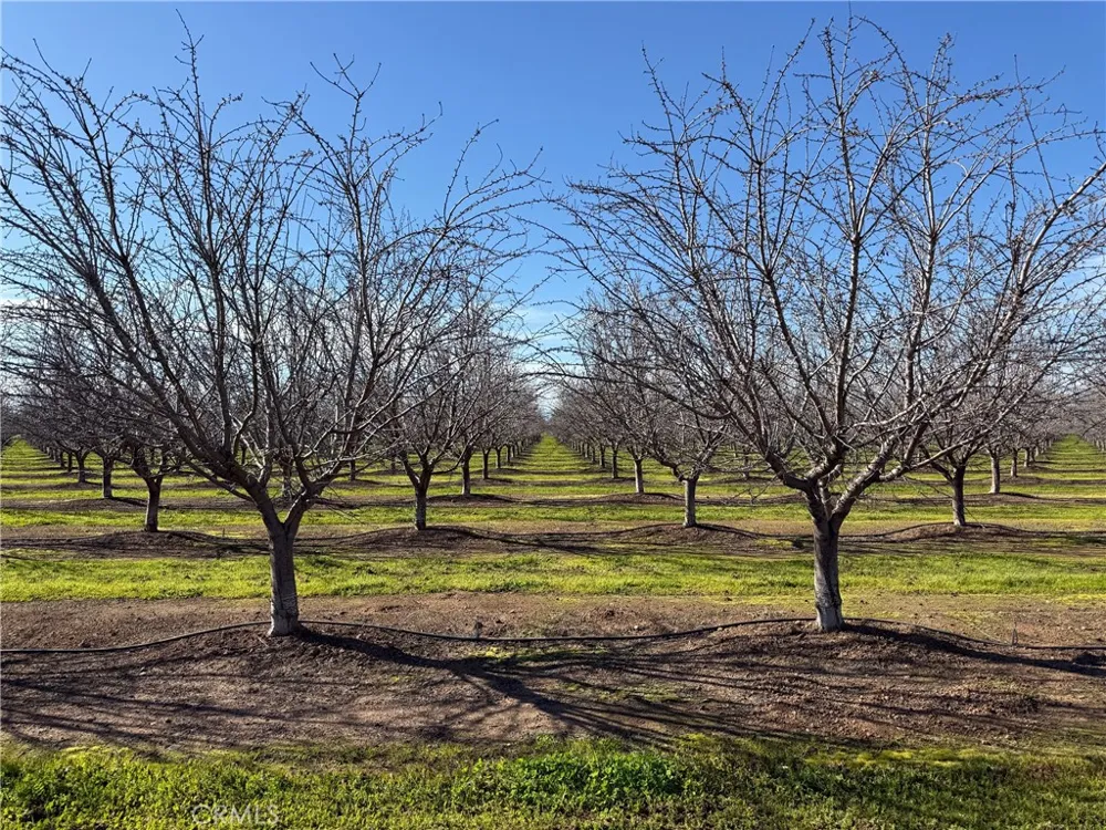 14693 Hamilton Nord Cana Highway Chico, CA 95973