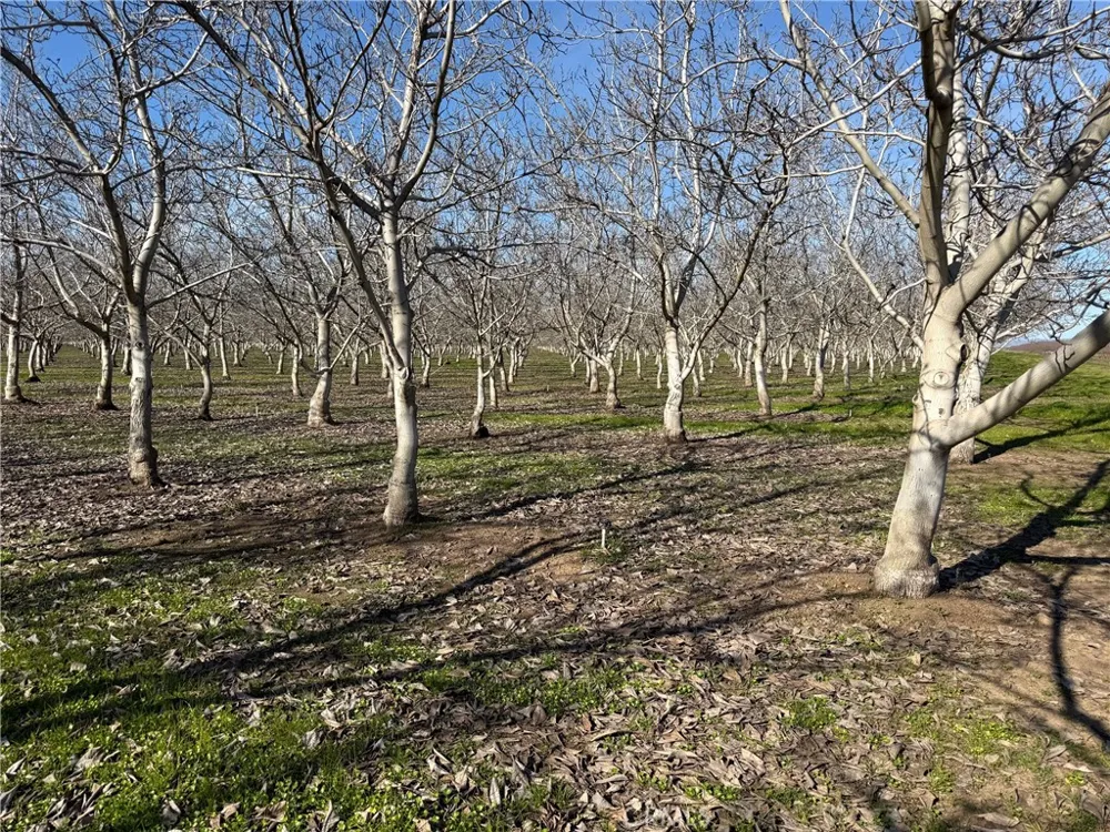 14693 Hamilton Nord Cana Highway Chico, CA 95973