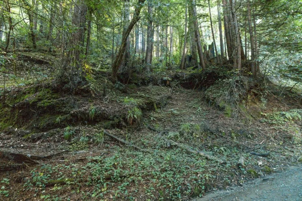 Pringle Lane Soquel, CA 95073