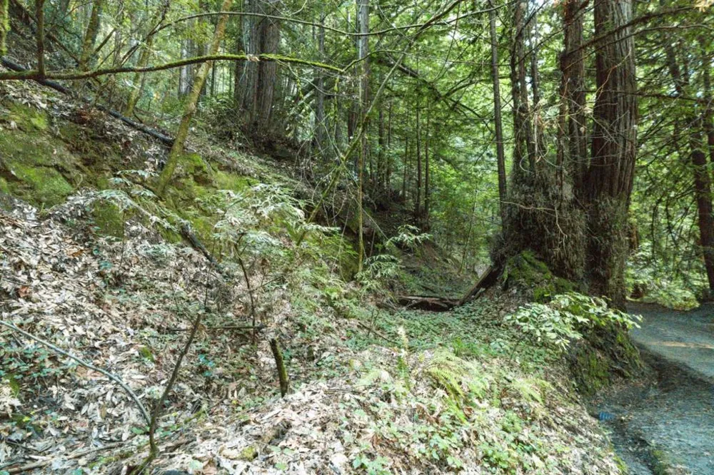 Pringle Lane Soquel, CA 95073