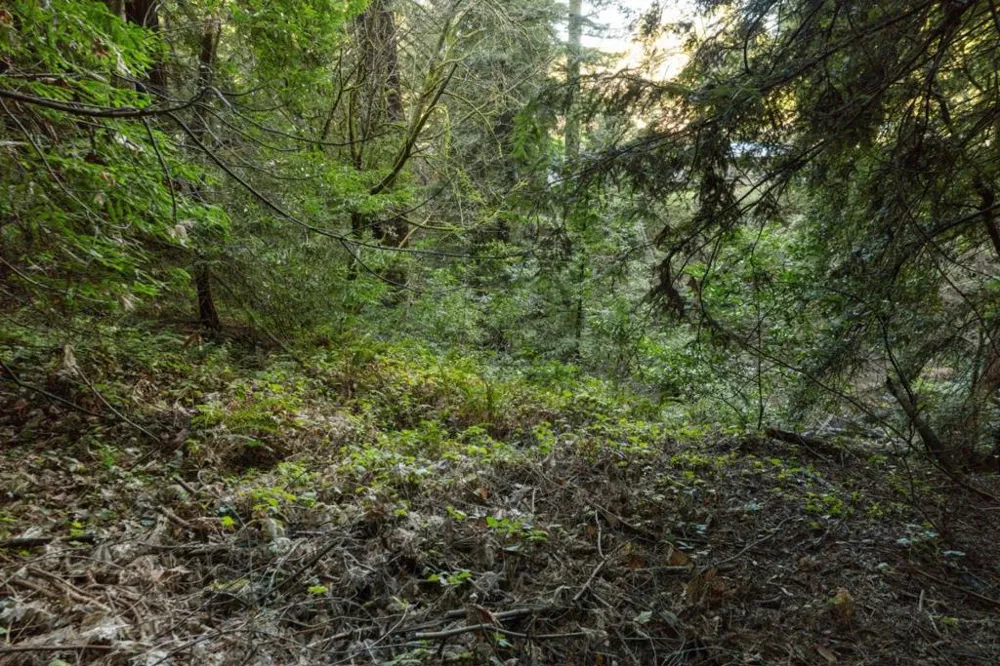 Pringle Lane Soquel, CA 95073