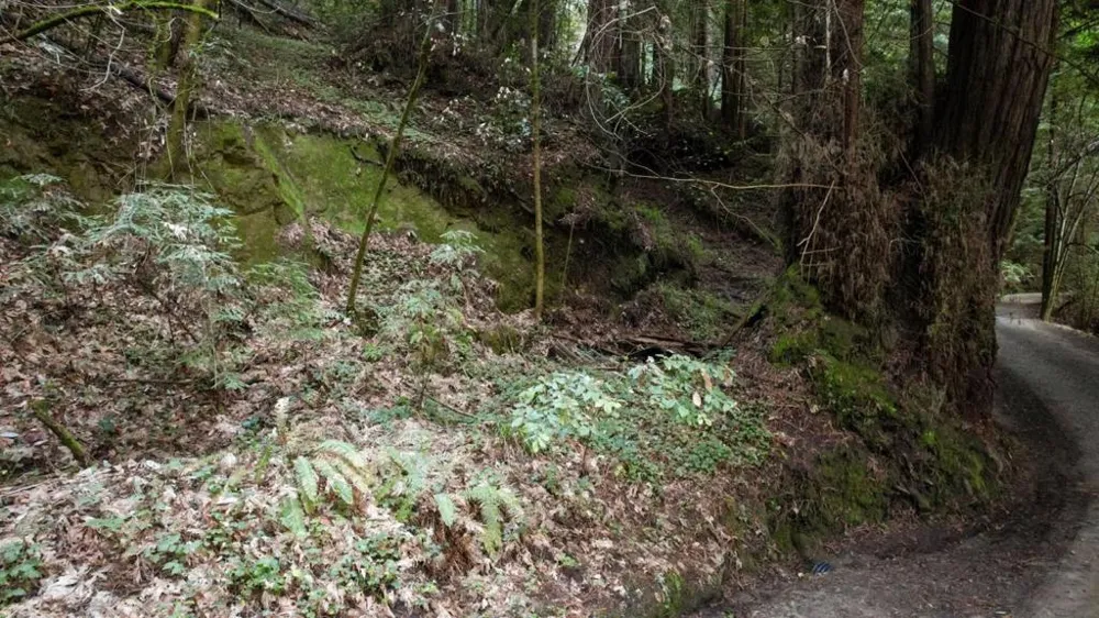 Pringle Lane Soquel, CA 95073