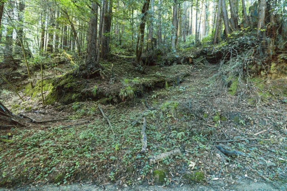 Pringle Lane Soquel, CA 95073