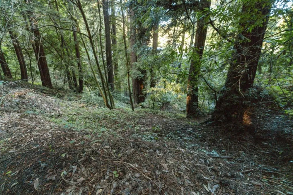 Pringle Lane Soquel, CA 95073