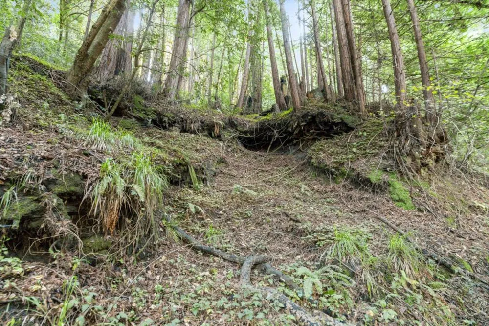 Pringle Lane Soquel, CA 95073
