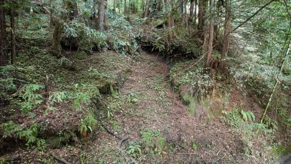 Pringle Lane Soquel, CA 95073