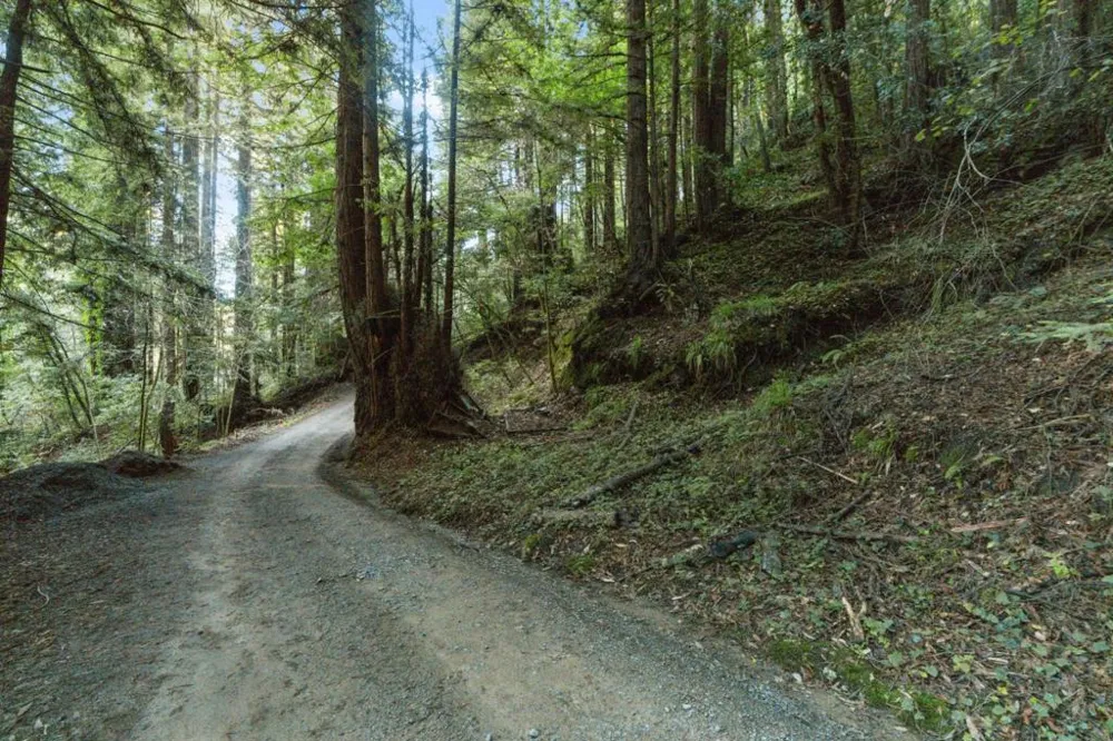 Pringle Lane Soquel, CA 95073