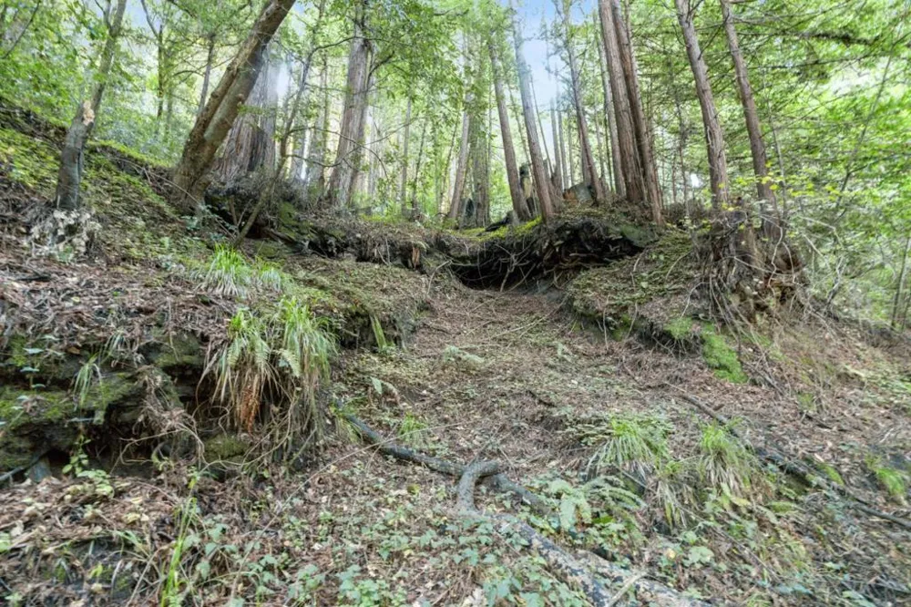 Pringle Lane Soquel, CA 95073