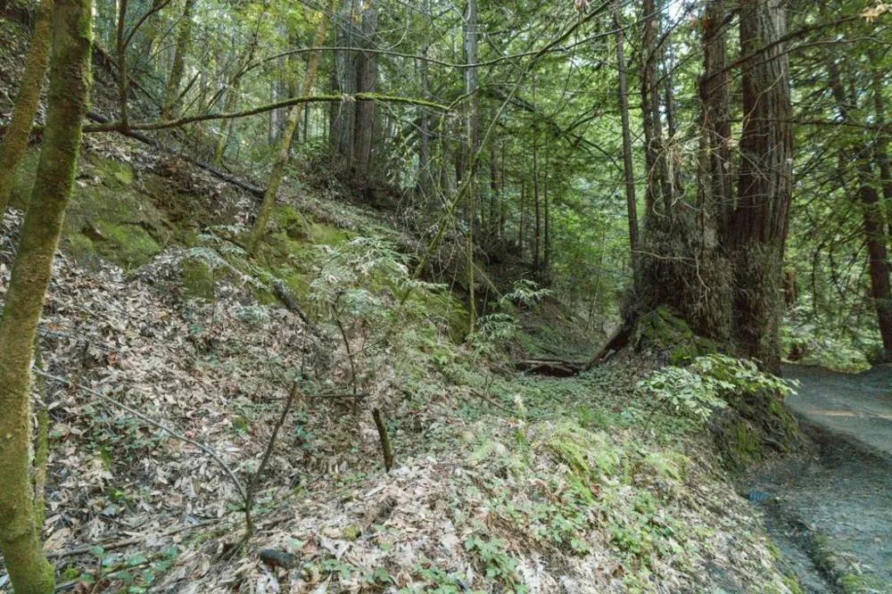 Pringle Lane Soquel, CA 95073