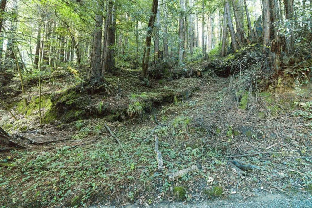 Pringle Lane Soquel, CA 95073