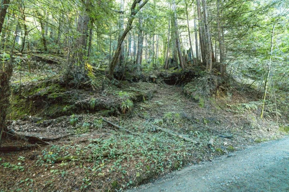 Pringle Lane Soquel, CA 95073