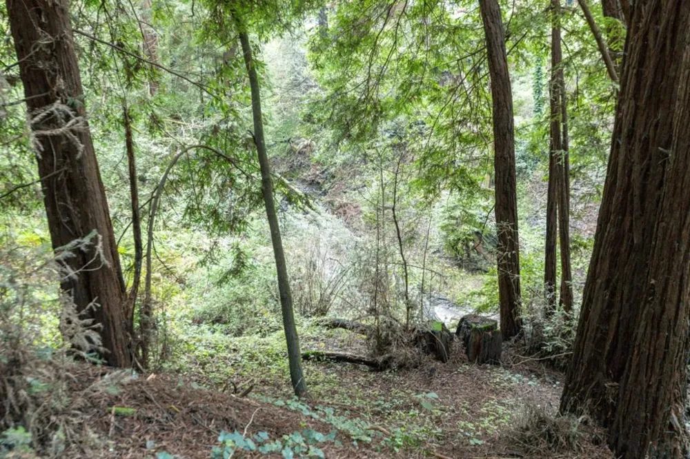 Pringle Lane Soquel, CA 95073