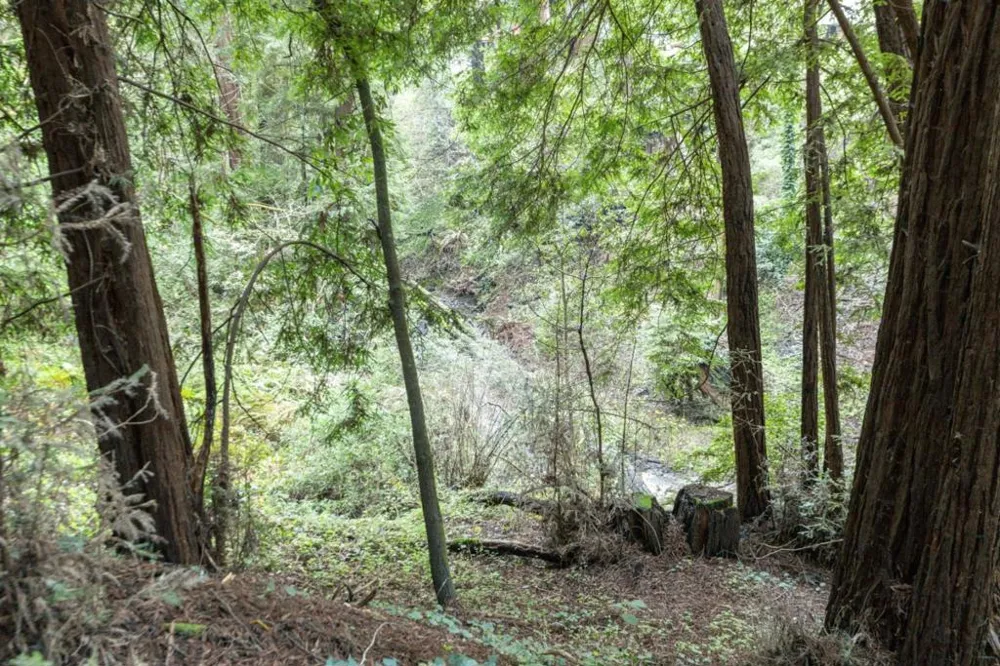 Pringle Lane Soquel, CA 95073
